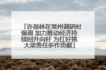 许昆林在常州调研时强调 加力推动经济持续回升向好 为扛好挑大梁责任多作贡献