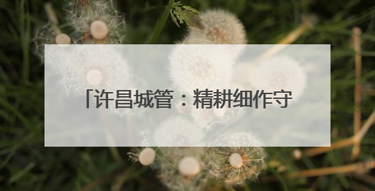 许昌城管：精耕细作守护夏日城市美好容颜