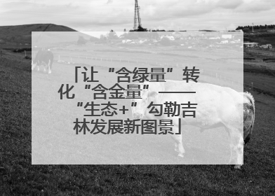 让“含绿量”转化“含金量”——“生态+”勾勒吉林发展新图景