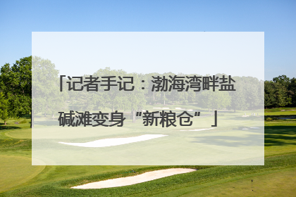 记者手记：渤海湾畔盐碱滩变身“新粮仓”