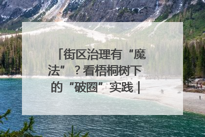 街区治理有“魔法”？看梧桐树下的“破圈”实践｜我在街区当书记