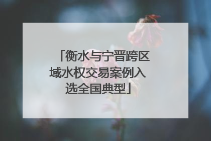 衡水与宁晋跨区域水权交易案例入选全国典型