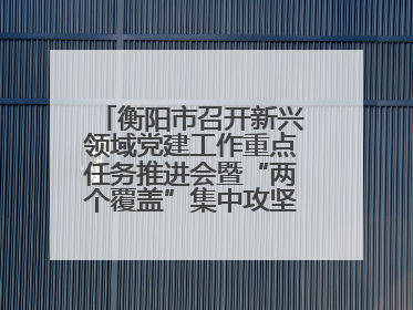 衡阳市召开新兴领域党建工作重点任务推进会暨“两个覆盖”集中攻坚工作专班 第一次会议