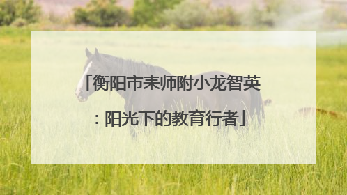 衡阳市耒师附小龙智英：阳光下的教育行者