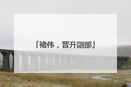 褚伟，晋升副部