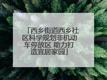 西乡街道西乡社区科学规划非机动车停放区 助力打造宜居家园