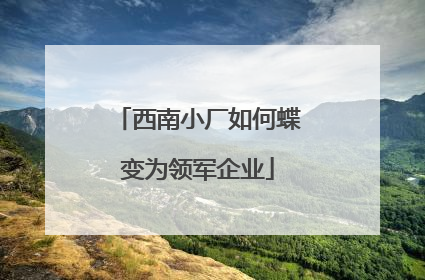 西南小厂如何蝶变为领军企业