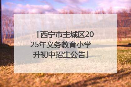 西宁市主城区2025年义务教育小学升初中招生公告