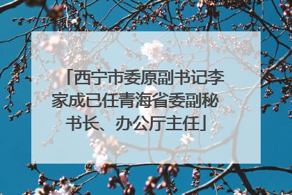 西宁市委原副书记李家成已任青海省委副秘书长、办公厅主任