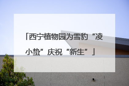 西宁植物园为雪豹“凌小蛰”庆祝“新生”