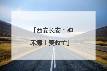 西安长安：神禾塬上麦收忙