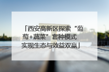 西安高新区探索“葡萄+蔬菜”套种模式 实现生态与效益双赢