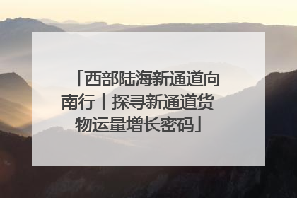 西部陆海新通道向南行丨探寻新通道货物运量增长密码
