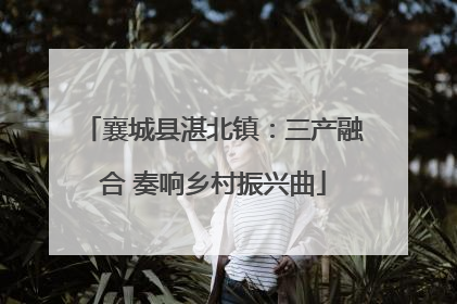 襄城县湛北镇：三产融合 奏响乡村振兴曲