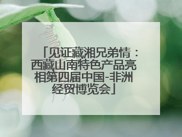 见证藏湘兄弟情：西藏山南特色产品亮相第四届中国-非洲经贸博览会