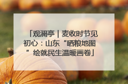 观澜亭｜麦收时节见初心：山东“晒粮地图”绘就民生温暖画卷