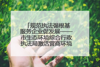 规范执法强根基 服务企业促发展——市生态环境综合行政执法局激活营商环境“绿色动能”