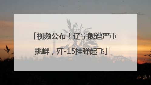 视频公布！辽宁舰遭严重挑衅，歼-15挂弹起飞