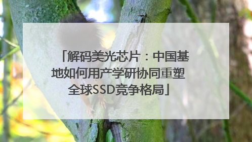 解码美光芯片：中国基地如何用产学研协同重塑全球SSD竞争格局