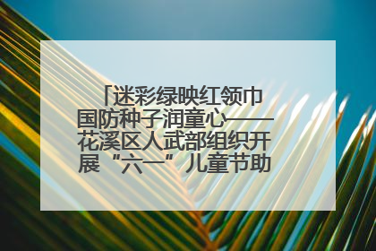 迷彩绿映红领巾 国防种子润童心——花溪区人武部组织开展“六一”儿童节助学兴教活动