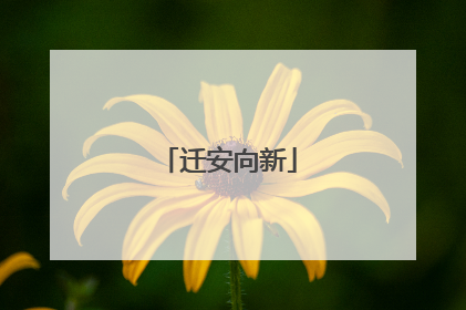 迁安向新