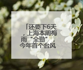 还要下6天，上海本周梅雨“全勤”，今年首个台风真的要来了！最新研判→