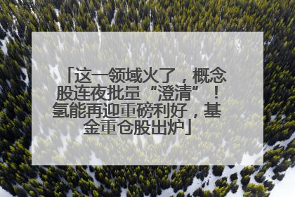 这一领域火了，概念股连夜批量“澄清”！氢能再迎重磅利好，基金重仓股出炉
