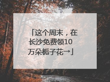 这个周末，在长沙免费领10万朵栀子花→