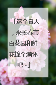 这个夏天，来长春市百花园和鲜花撞个满怀吧~