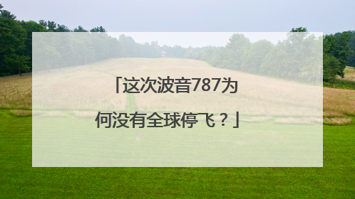 这次波音787为何没有全球停飞？