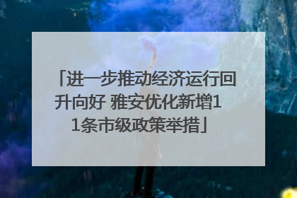 进一步推动经济运行回升向好 雅安优化新增11条市级政策举措