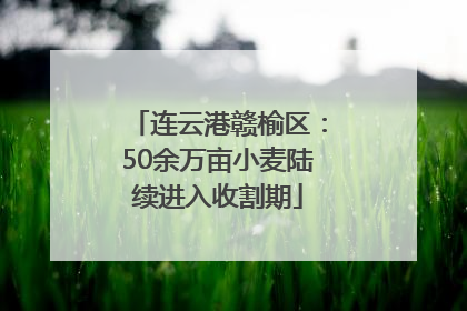连云港赣榆区：50余万亩小麦陆续进入收割期
