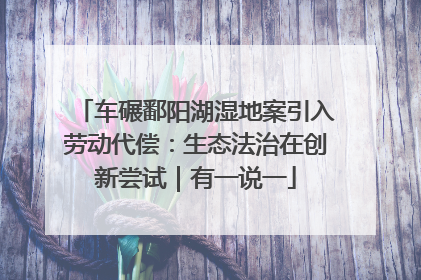 车碾鄱阳湖湿地案引入劳动代偿：生态法治在创新尝试｜有一说一
