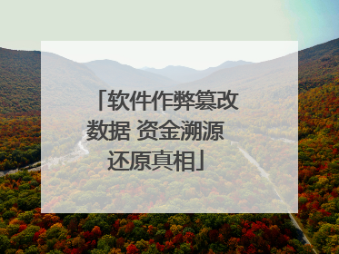 软件作弊篡改数据 资金溯源还原真相