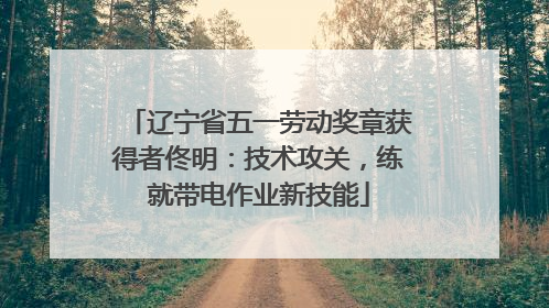 辽宁省五一劳动奖章获得者佟明：技术攻关，练就带电作业新技能