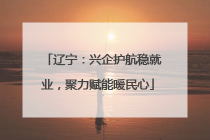辽宁：兴企护航稳就业，聚力赋能暖民心