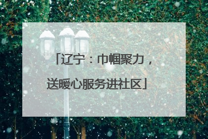 辽宁：巾帼聚力，送暖心服务进社区