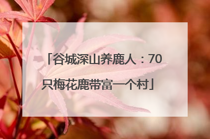 谷城深山养鹿人：70只梅花鹿带富一个村