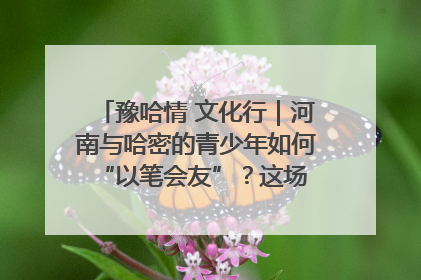 豫哈情 文化行｜河南与哈密的青少年如何 “以笔会友”？这场书画展藏着答案