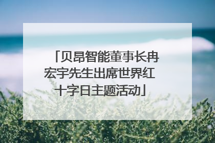 贝昂智能董事长冉宏宇先生出席世界红十字日主题活动