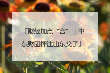 财经加点“言”｜中东财团押注山东父子