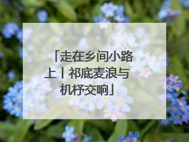 走在乡间小路上丨祁底麦浪与机杼交响