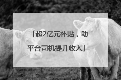 超2亿元补贴，助平台司机提升收入