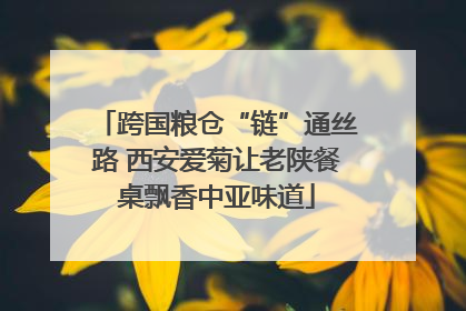 跨国粮仓“链”通丝路 西安爱菊让老陕餐桌飘香中亚味道