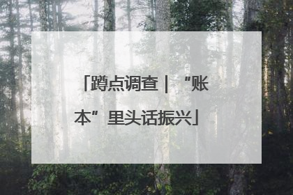 蹲点调查｜“账本”里头话振兴