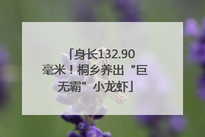 身长132.90毫米！桐乡养出“巨无霸”小龙虾