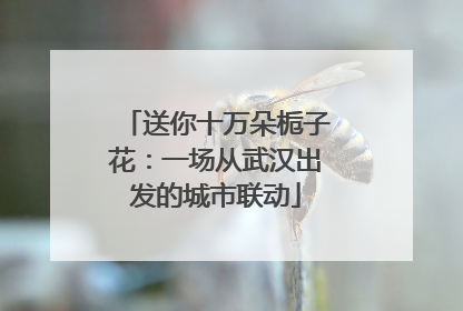 送你十万朵栀子花：一场从武汉出发的城市联动