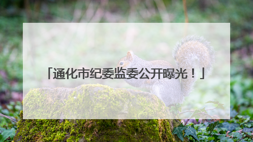 通化市纪委监委公开曝光！
