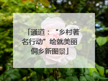 通道：“乡村著名行动”绘就美丽侗乡新图景