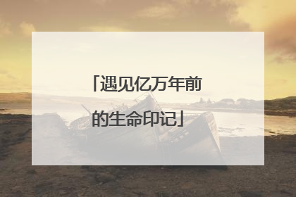 遇见亿万年前的生命印记